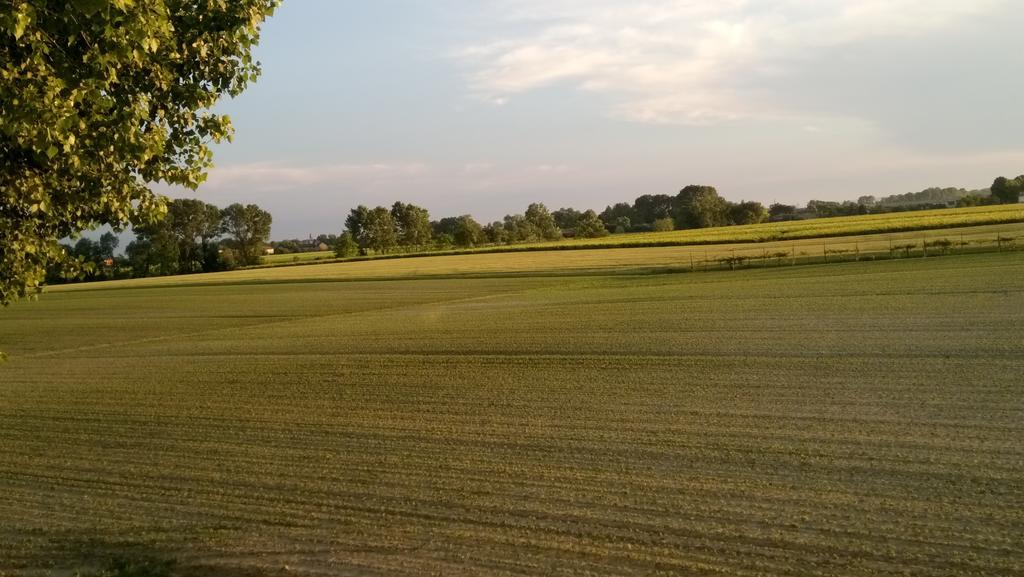 La Pioppa Agriturismo Sacile Buitenkant foto